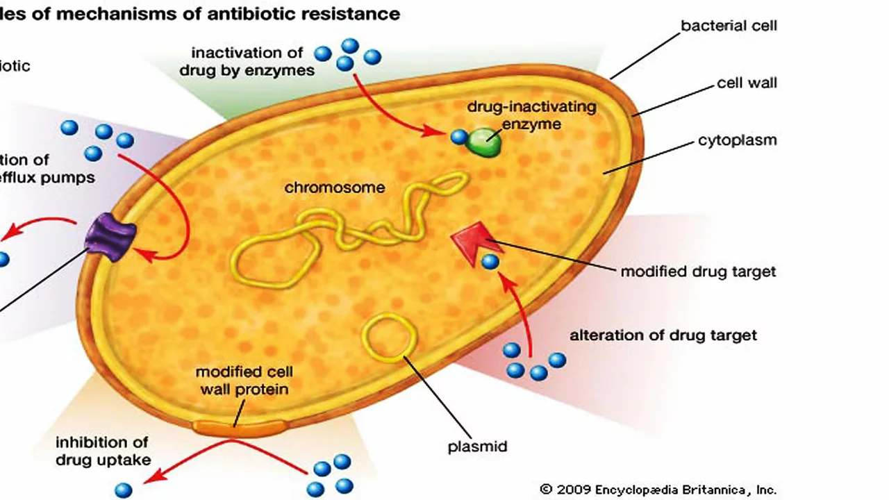 Fosfomycin: An Overview of its Role in Modern Antibiotics