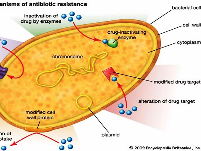 Fosfomycin: An Overview of its Role in Modern Antibiotics